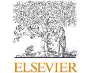 Elsevier